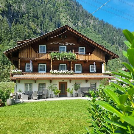 Landhaus Dornau Apartments Mayrhofen Luaran gambar