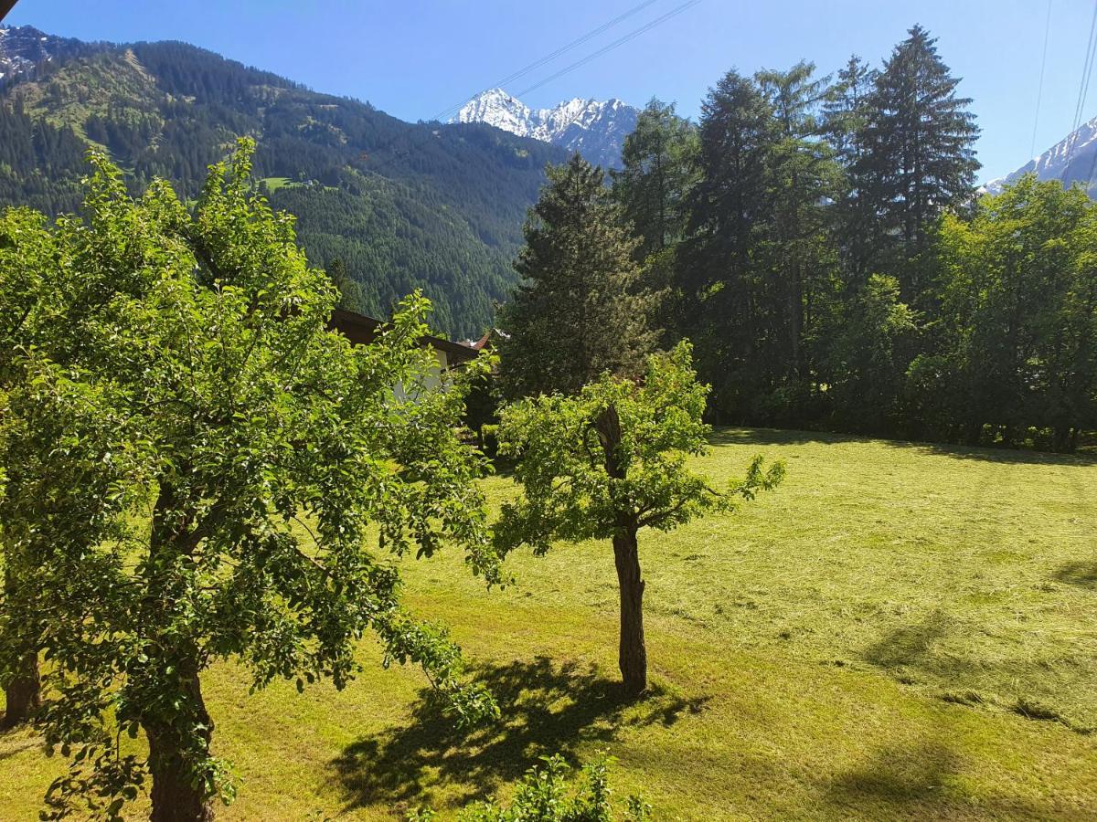 Landhaus Dornau Apartments Mayrhofen Luaran gambar